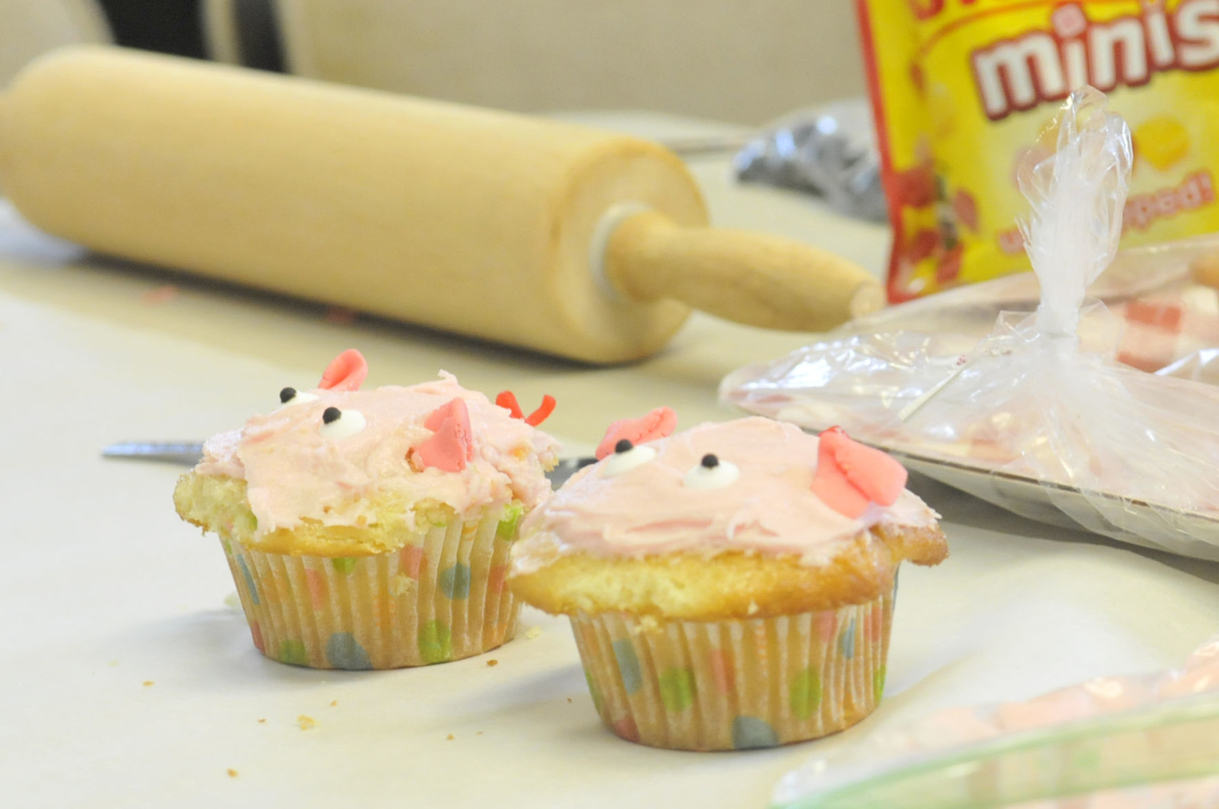 Cupcake Wars